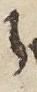 Letter - #23109
