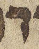Letter - #23134