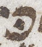 Letter - #23205