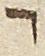 Letter - #23231