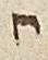 Letter - #23232