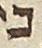 Letter - #23237