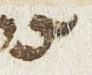 Letter - #23242