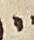Letter - #23300
