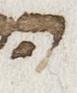 Letter - #23431