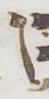 Letter - #23485