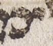 Letter - #23514