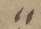 Punctuation - #23603