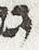 Letter - #23774