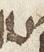 Letter - #23964