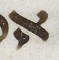 Letter - #24005