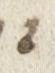 Letter - #24110