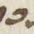 Letter - #24111