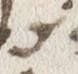 Letter - #24118