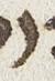 Letter - #24193