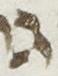 Letter - #24199