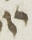 Letter - #24203