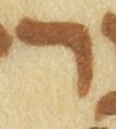 Letter - #24345