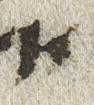 Letter - #24432