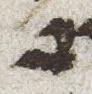 Letter - #24440