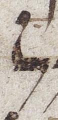 Letter - #24462