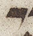 Letter - #24483
