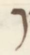 Letter - #2451