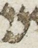 Letter - #24534