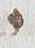 Letter - #24602