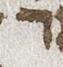 Letter - #24622