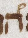 Ṭe'amim - #24634