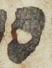 Letter - #24661