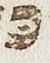 Vowel/Diacritic - #24747
