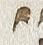 Letter - #24804