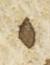 Letter - #24816