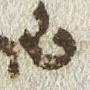 Letter - #24854