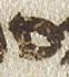 Letter - #24856