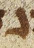 Letter - #24892