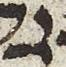 Letter - #24942