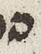Letter - #25000