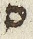 Letter - #25008