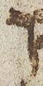 Letter - #25050
