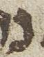 Letter - #25079