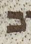 Letter - #25131