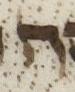 Letter - #25134
