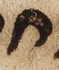 Letter - #25173