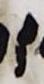 Letter - #25255
