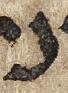 Letter - #25261