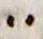 Punctuation - #25334