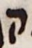Letter - #25350